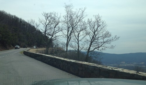 Shenandoah National Park