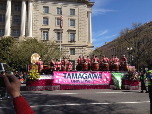 Cherry Blossom Parade
