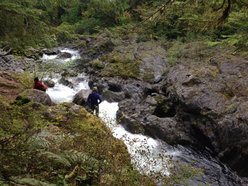 Salmon Cascades, Olympic National Park, Washington