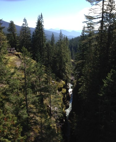 Mount Rainier National Park