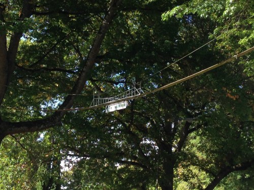 Nutty Narrows Bridge