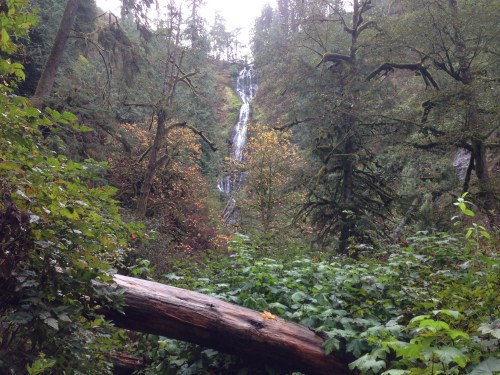 Munson Creek Falls