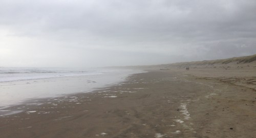 South Beach State Park