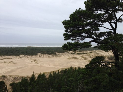 Oregon Dunes