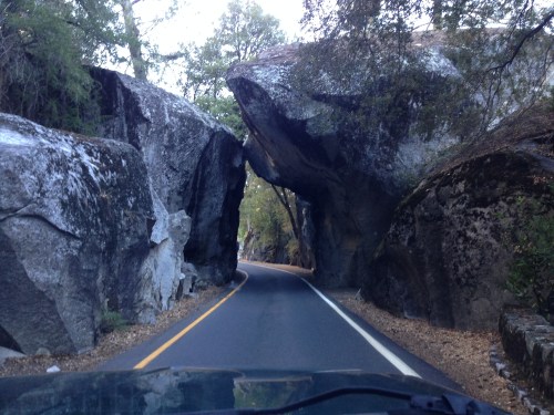Yosemite National Park