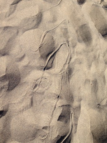 Sidewinder Tracks