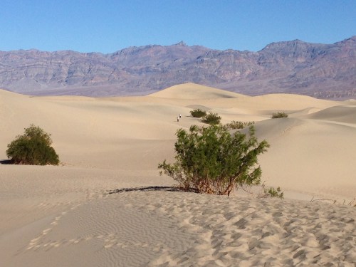 Mesquite Dunes