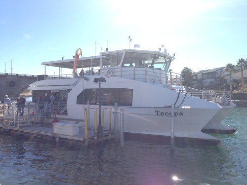 Casino Ferry