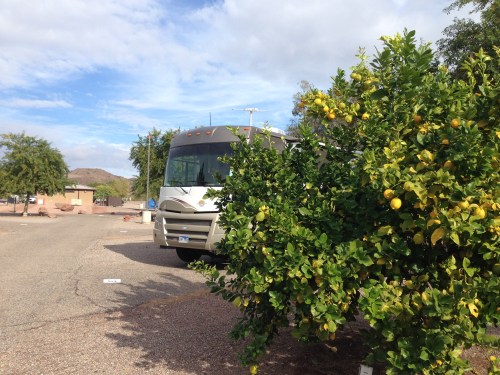 Cattail Cove State Park, AZ, #25