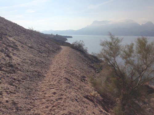 Whytes Retreat Trail