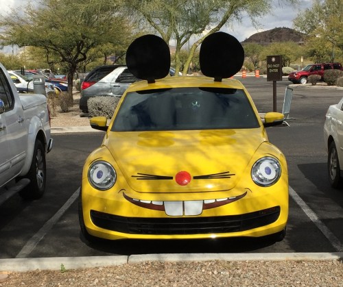 Truly Nolen Pest Control