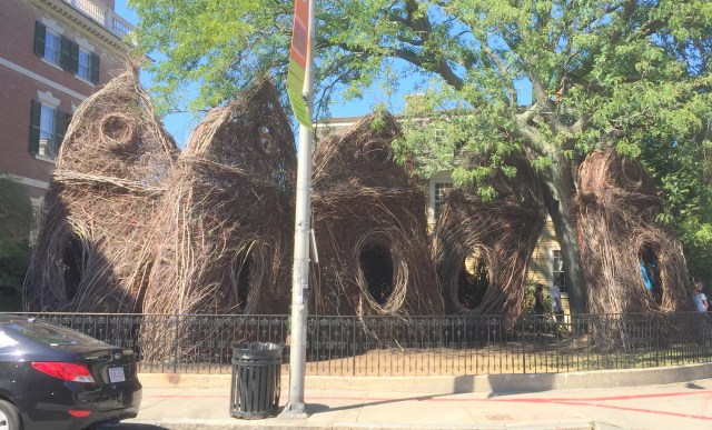 Stickwork by Patrick Dougherty