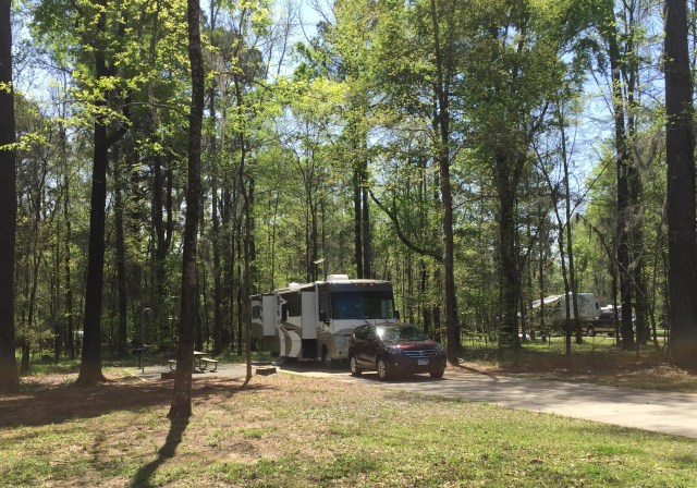 Gunter Hill COE AL, #56